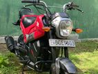Honda Navi Onlight 2018