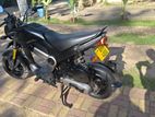 Honda Navi 2019