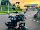 Honda Navi 2017