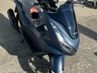 Honda PCX 125 2024