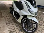 Honda PCX 125 2024