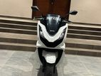 Honda PCX 125 2024