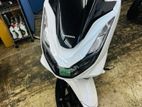 Honda PCX 125 2024