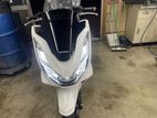 Honda PCX 125 2024