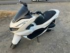 Honda PCX 125 2024