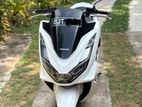 Honda PCX 125 2024