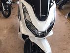 Honda PCX 125 2024