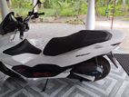 Honda PCX 125 2024