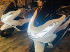 Honda PCX 2024