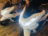 Honda PCX 2024