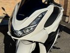 Honda PCX 125 2024