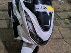 Honda PCX 125 2025 2024