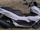Honda PCX 125 2024