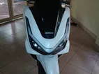 Honda PCX 125 2025