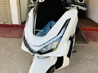 Honda PCX 125 2025