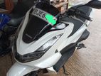 Honda PCX 125 cc 2023