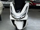 Honda PCX 125 2026