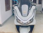 Honda PCX 125 2026