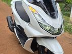 Honda PCX 2024