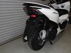 Honda PCX 125 2024