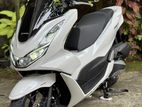 Honda PCX 125 New 2024