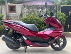 Honda PCX 125CC 2021