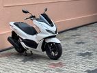 Honda PCX 125CC 2024