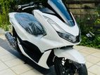 Honda PCX 125cc 2024