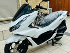 Honda PCX 2024