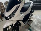 Honda PCX 2024