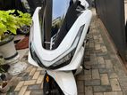 Honda PCX 2026