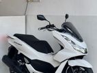 Honda PCX 160 2023