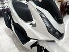 Honda PCX 160 2024