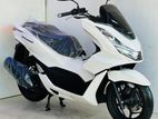 Honda PCX 160 2024