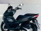 Honda PCX 160 2024