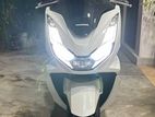 Honda PCX 160 2024