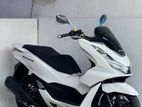 Honda PCX 160 2024