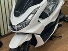 Honda PCX 160 2024