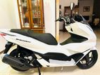 Honda PCX 160 2024