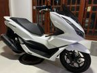 Honda PCX 160 2024