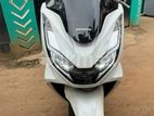 Honda PCX160 160 2024