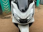 Honda PCX 160 2024