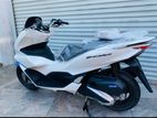 Honda PCX 160 2024