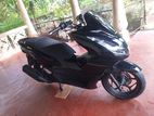 Honda PCX 160 2024