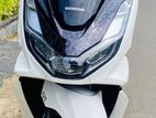 Honda PCX 160 2024