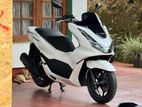 Honda PCX 160 2024