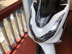 Honda PCX 160 2024