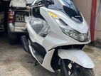 Honda PCX 160 2024