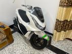 Honda PCX 160 2024