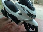 Honda PCX 160 2024